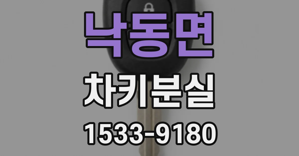 낙동면 차키분실