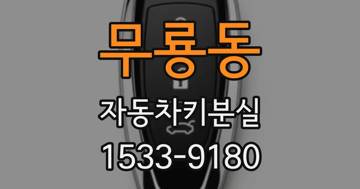 무룡동 자동차키분실