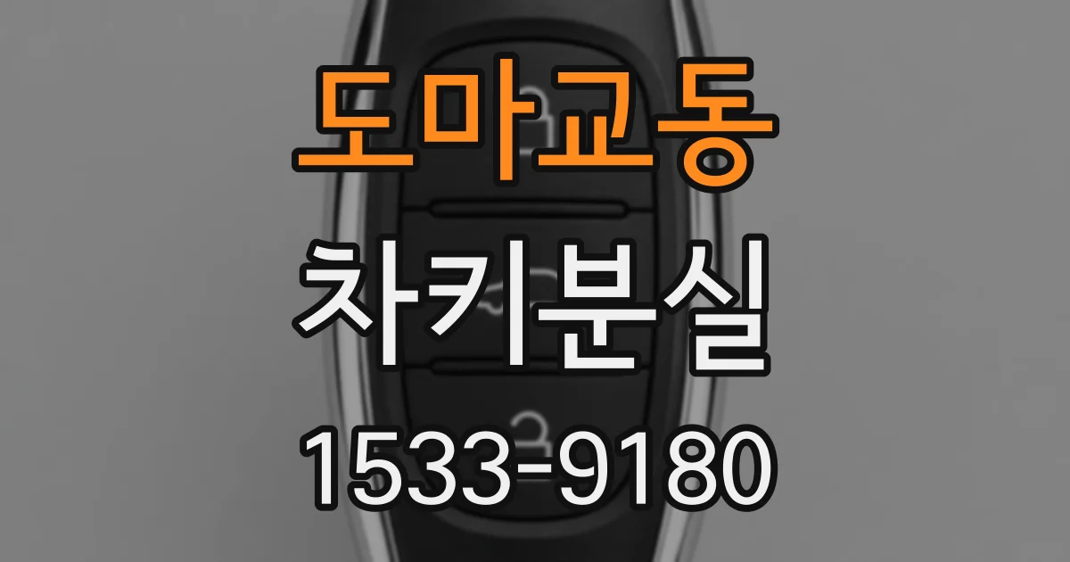 도마교동 차키분실