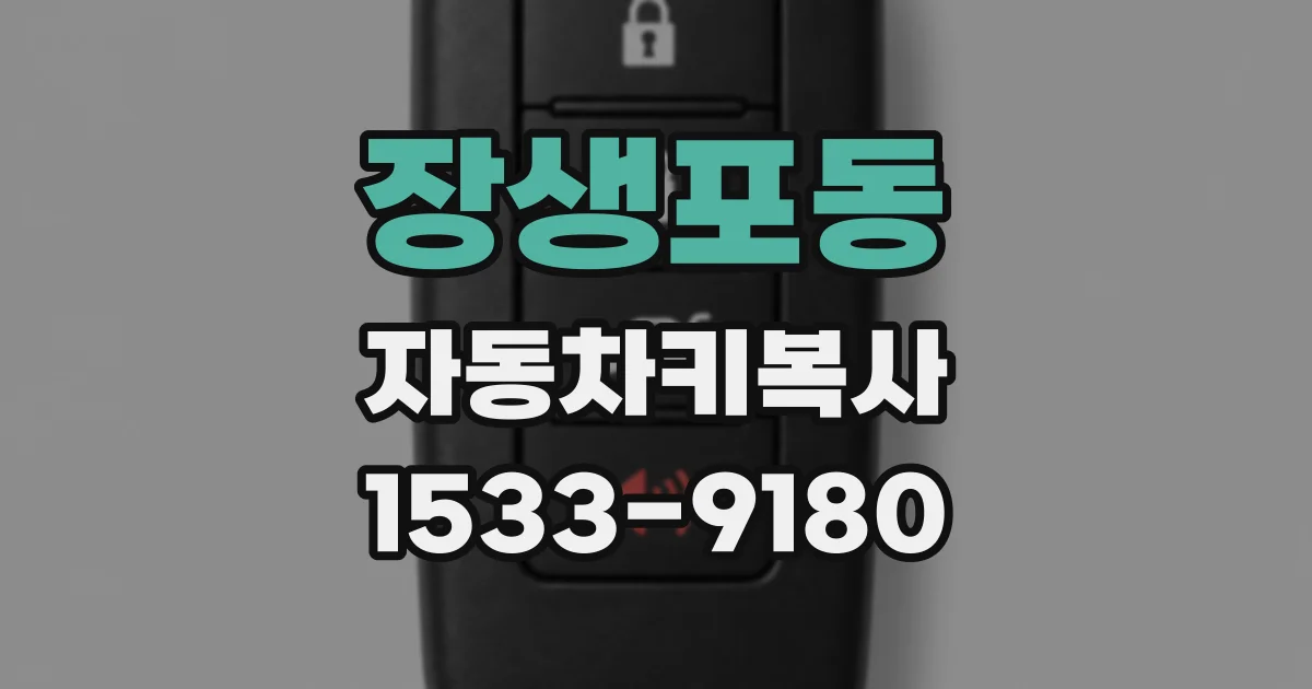 장생포동 자동차키복사