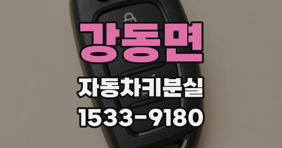 강동면 자동차키분실