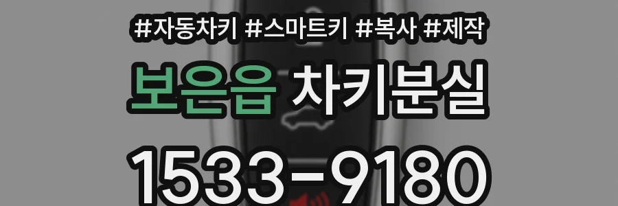 보은읍 차키분실