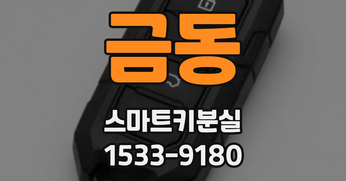 금동 스마트키분실