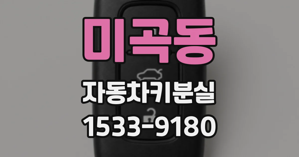 미곡동 자동차키분실