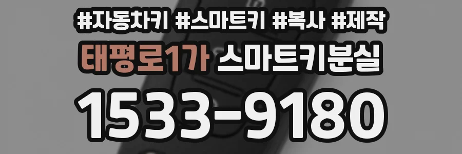 태평로1가 스마트키분실