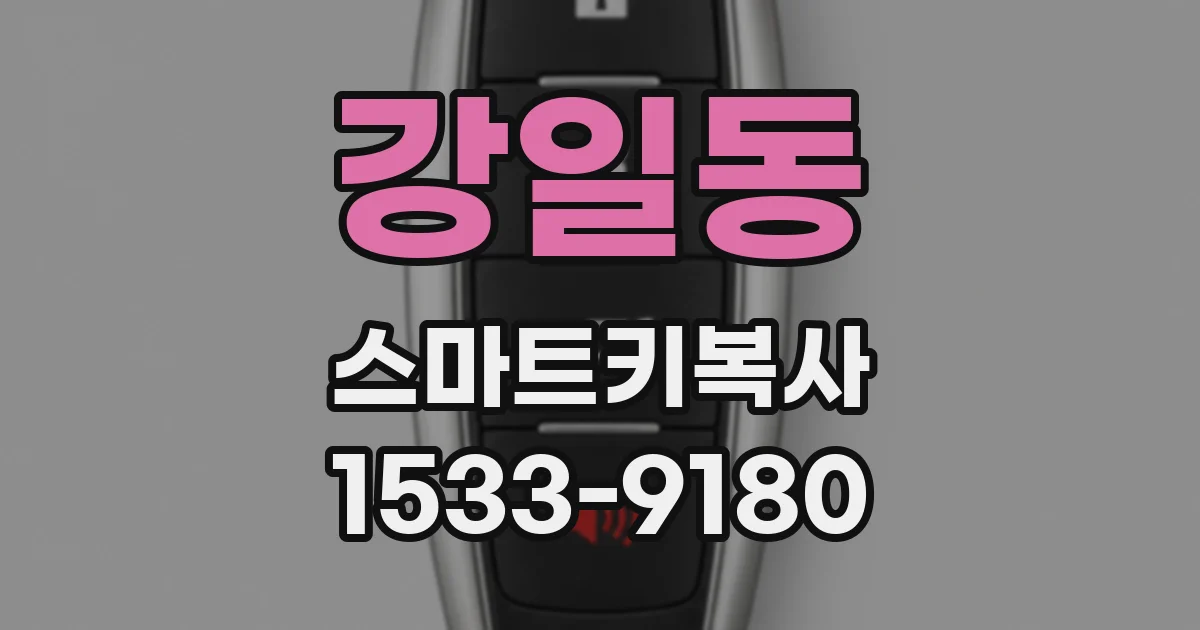 강일동 스마트키복사