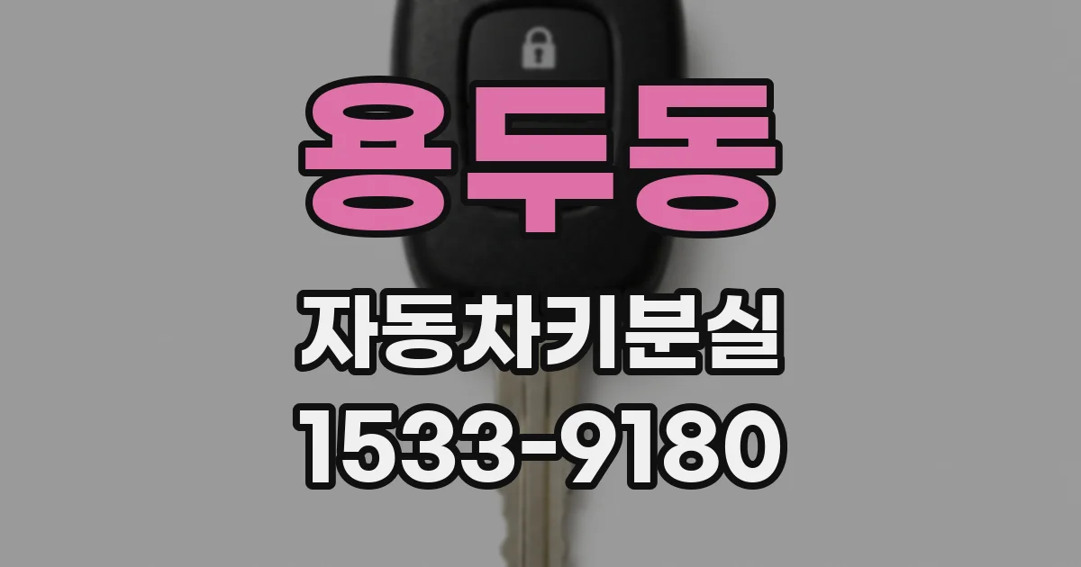 용두동 자동차키분실