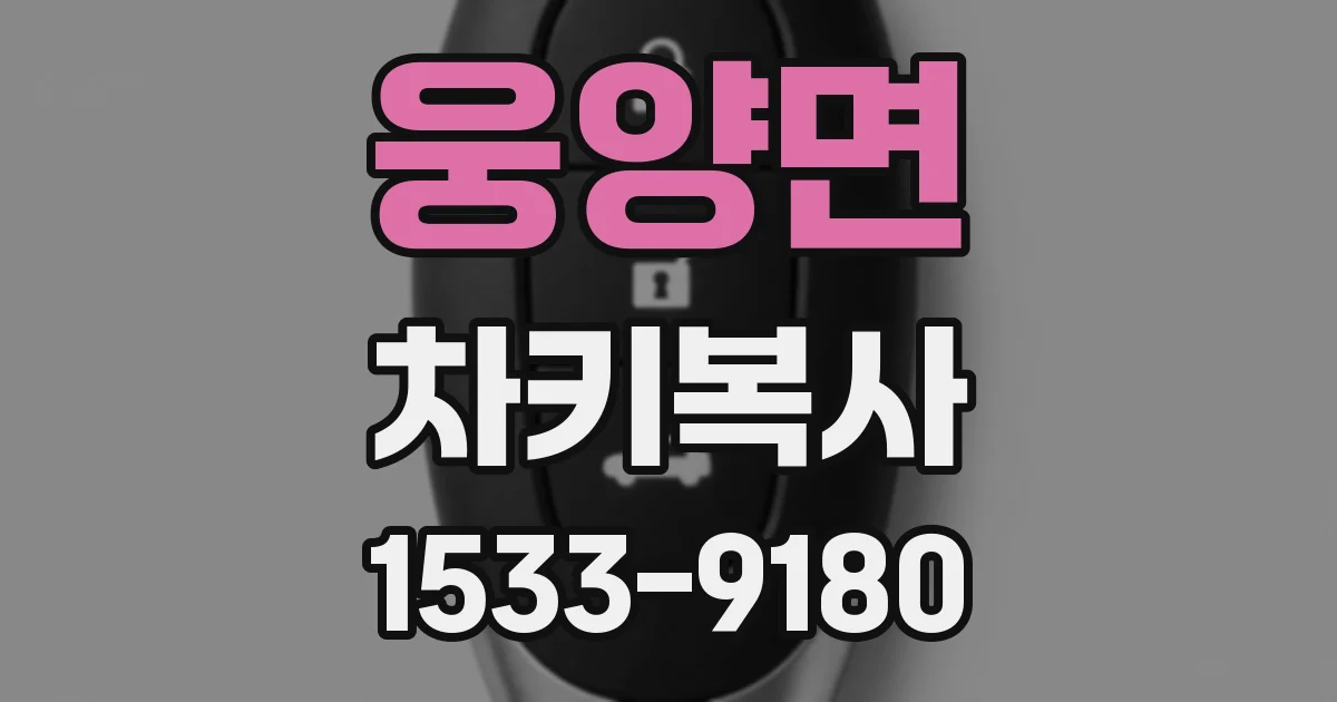 웅양면 차키복사