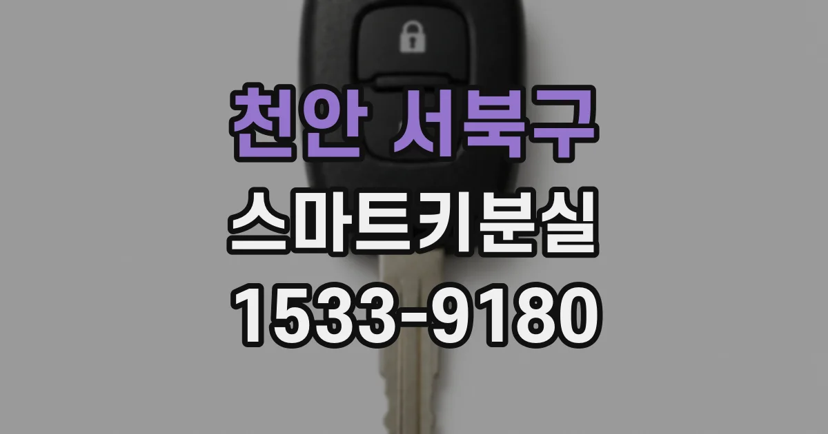 천안 서북구 스마트키분실