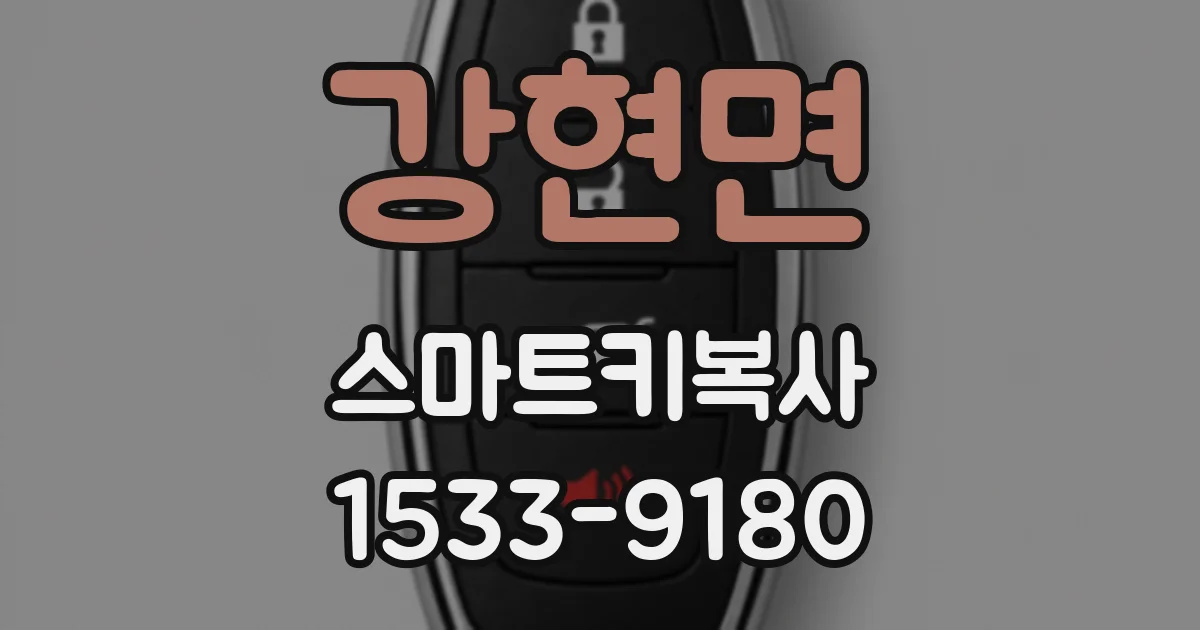 강현면 스마트키복사