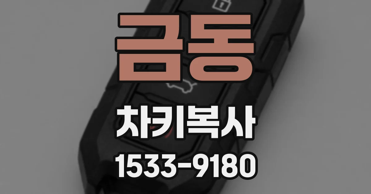 금동 차키복사
