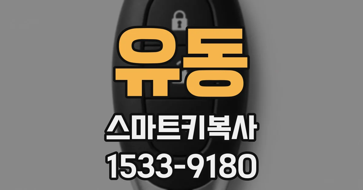 유동 스마트키복사