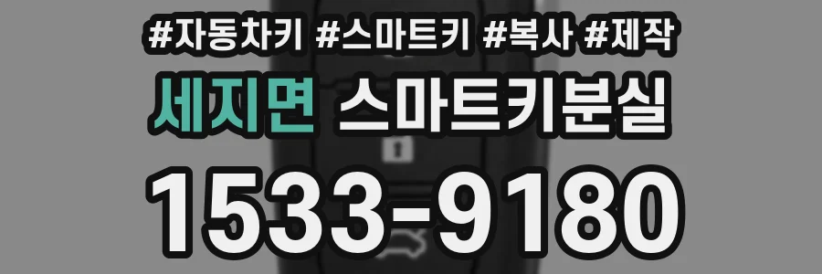 세지면 스마트키분실