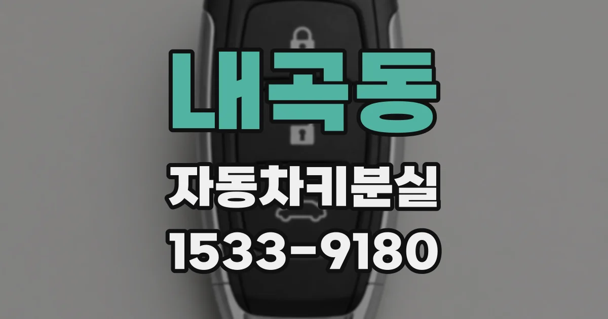 내곡동 자동차키분실