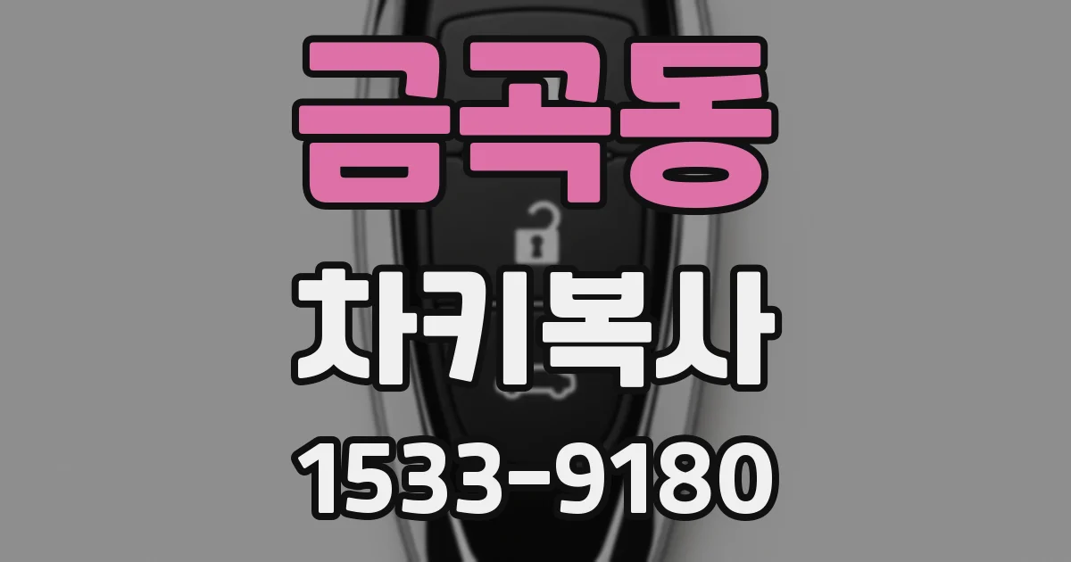 금곡동 차키복사