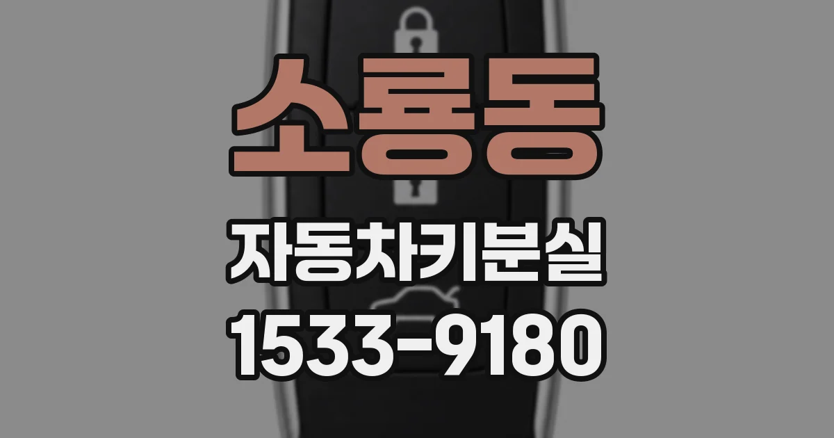 소룡동 자동차키분실