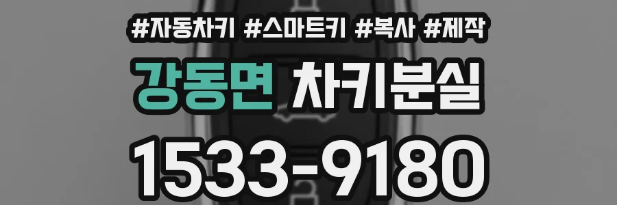 강동면 차키분실