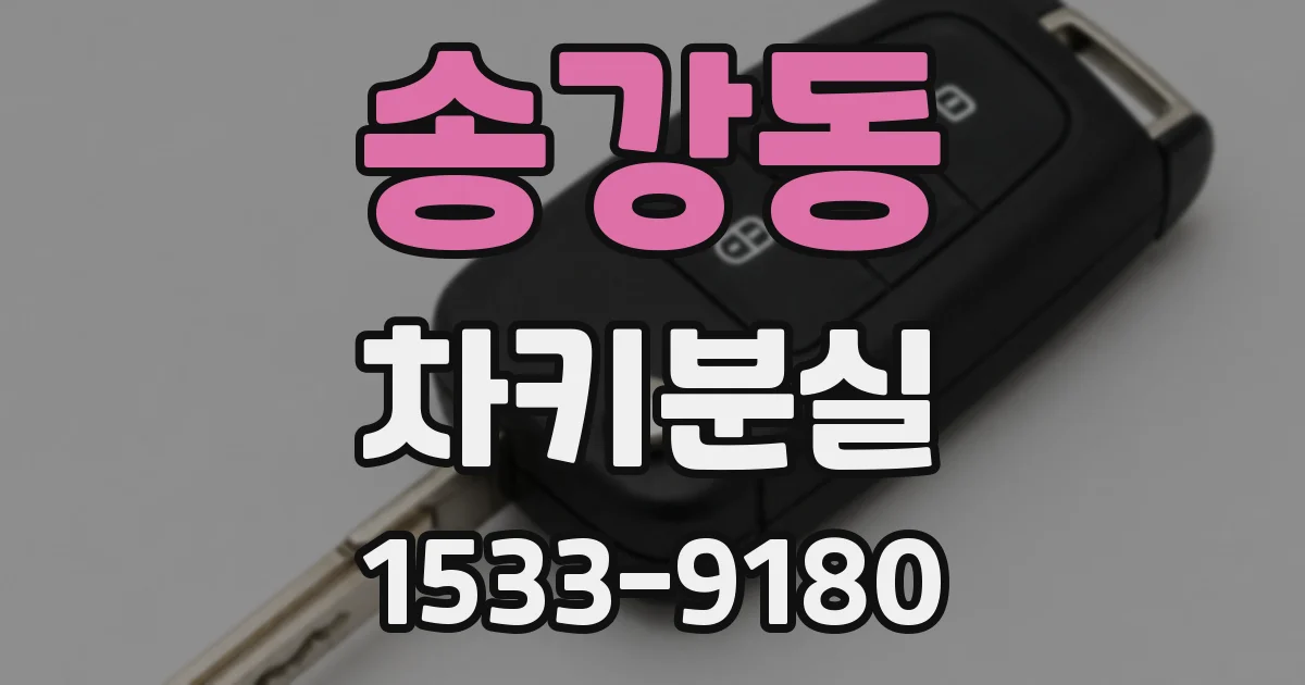 송강동 차키분실