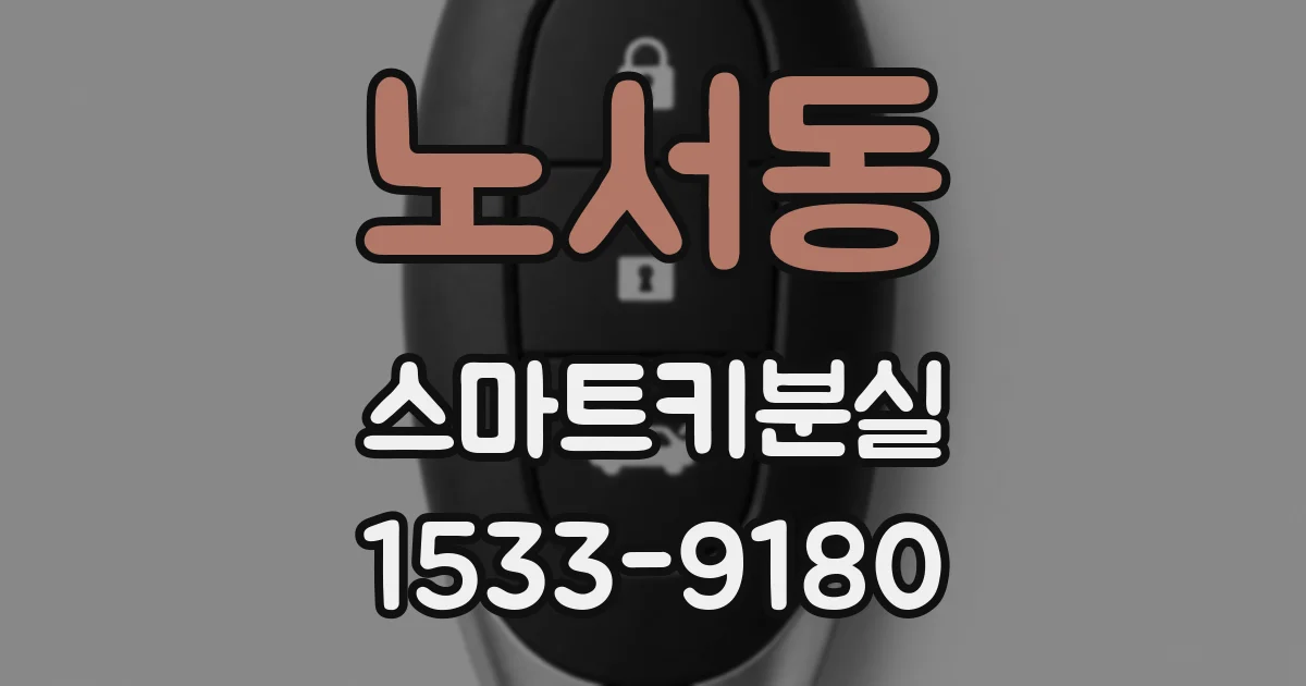 노서동 스마트키분실