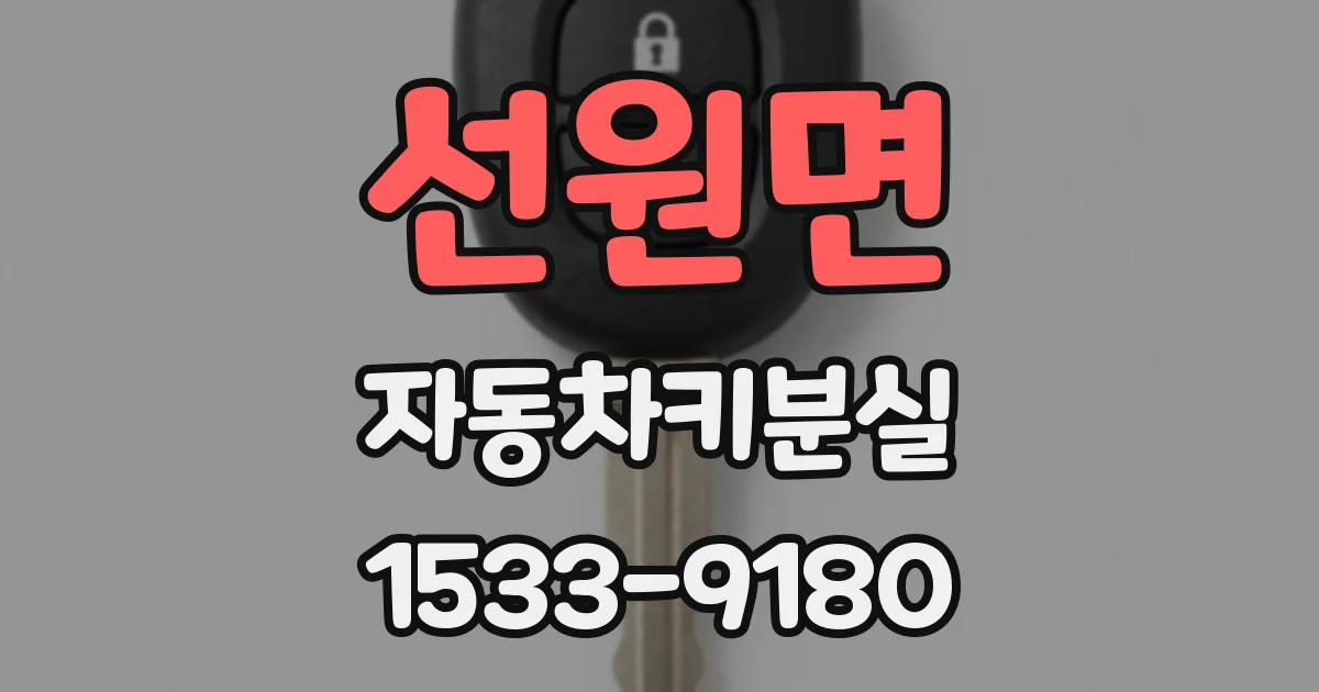 선원면 자동차키분실
