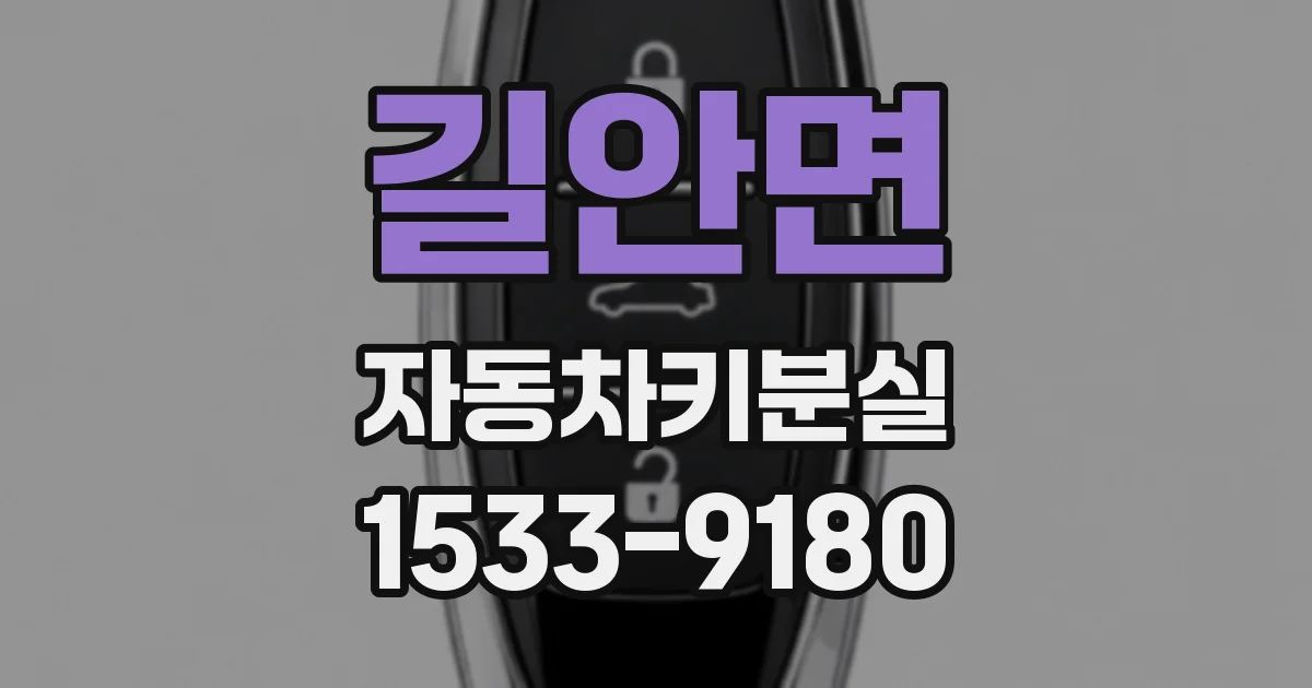 길안면 자동차키분실
