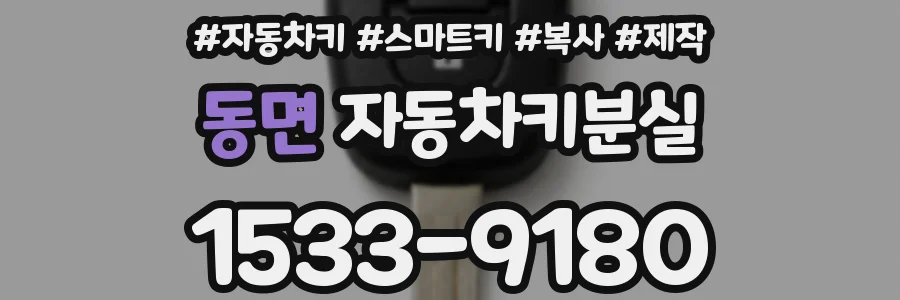 동면 자동차키분실