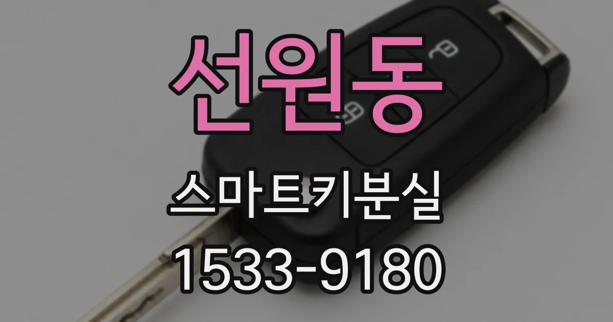 선원동 스마트키분실