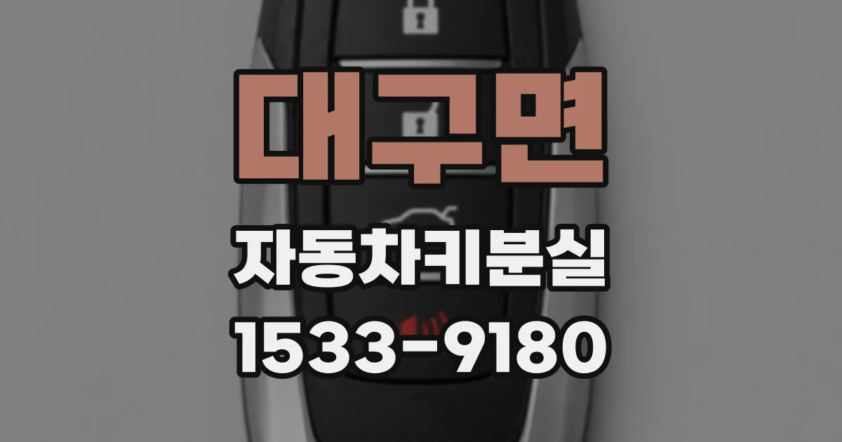 대구면 자동차키분실