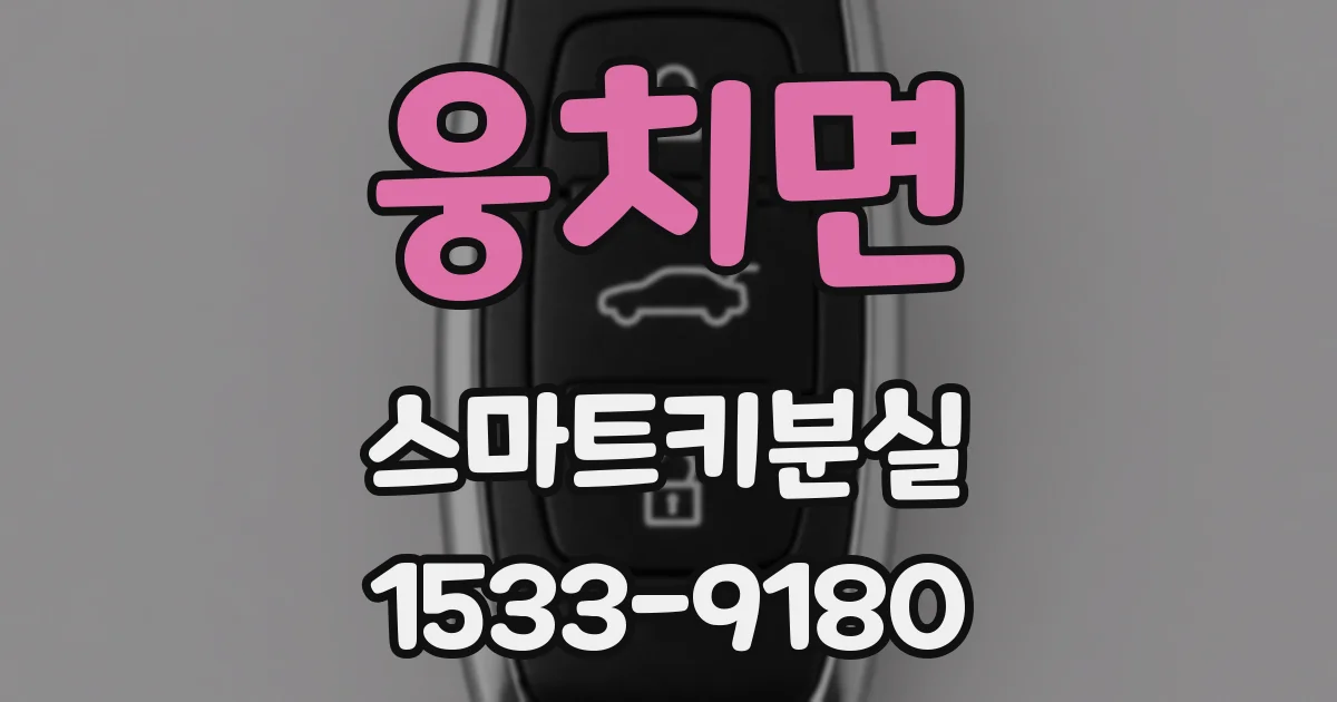 웅치면 스마트키분실