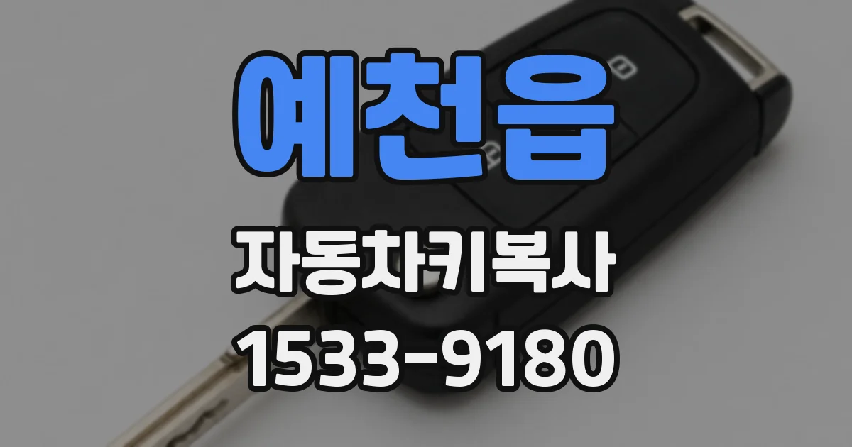 예천읍 자동차키복사