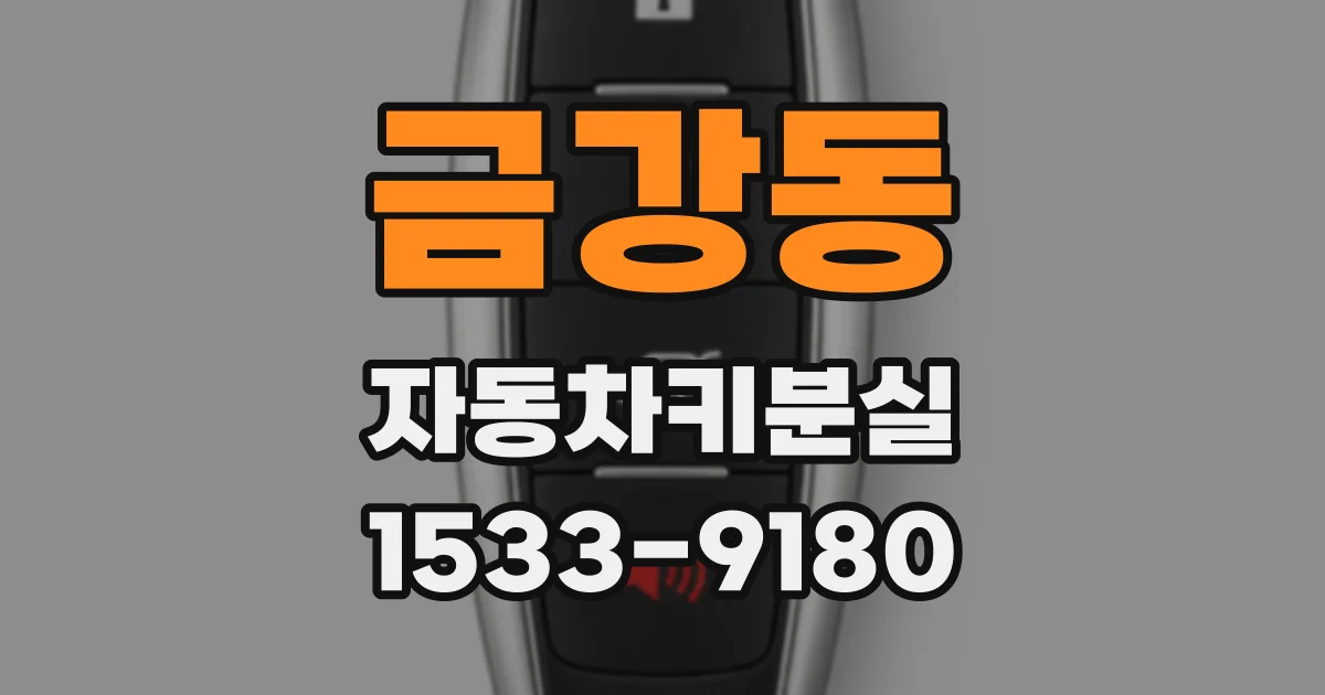 금강동 자동차키분실
