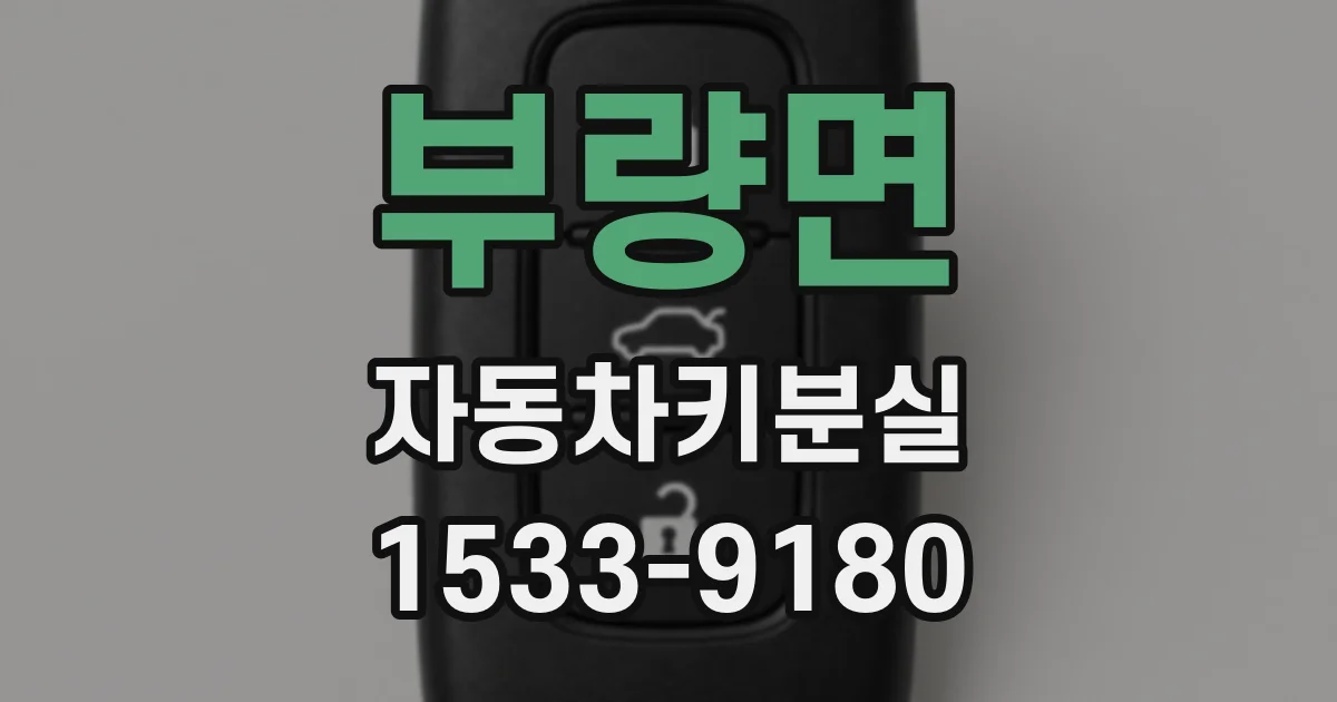 부량면 자동차키분실