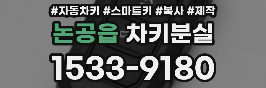 논공읍 차키분실