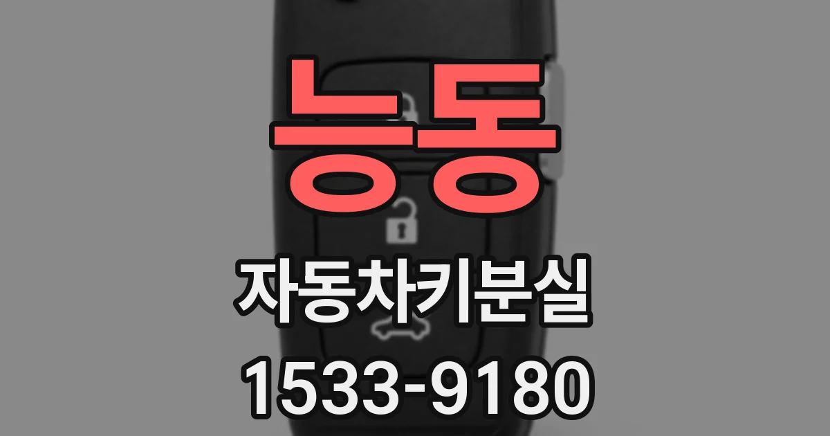 능동 자동차키분실