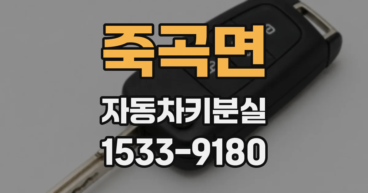 죽곡면 자동차키분실