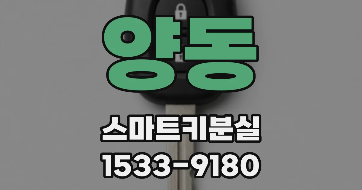 양동 스마트키분실