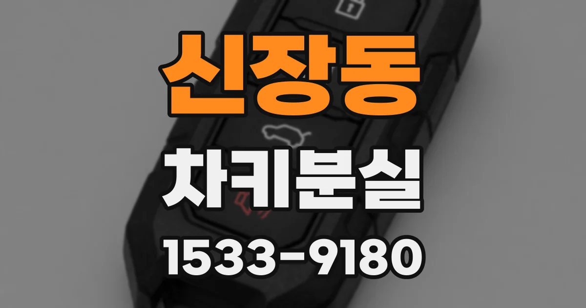 신장동 차키분실