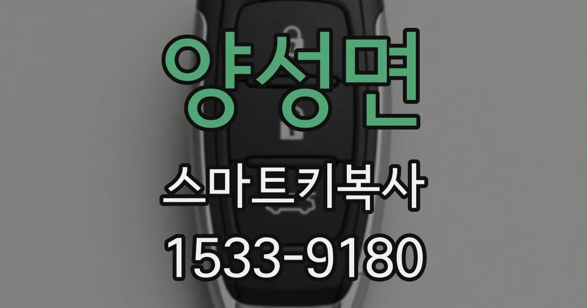 양성면 스마트키복사