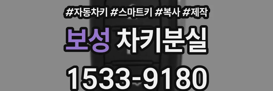 보성 차키분실