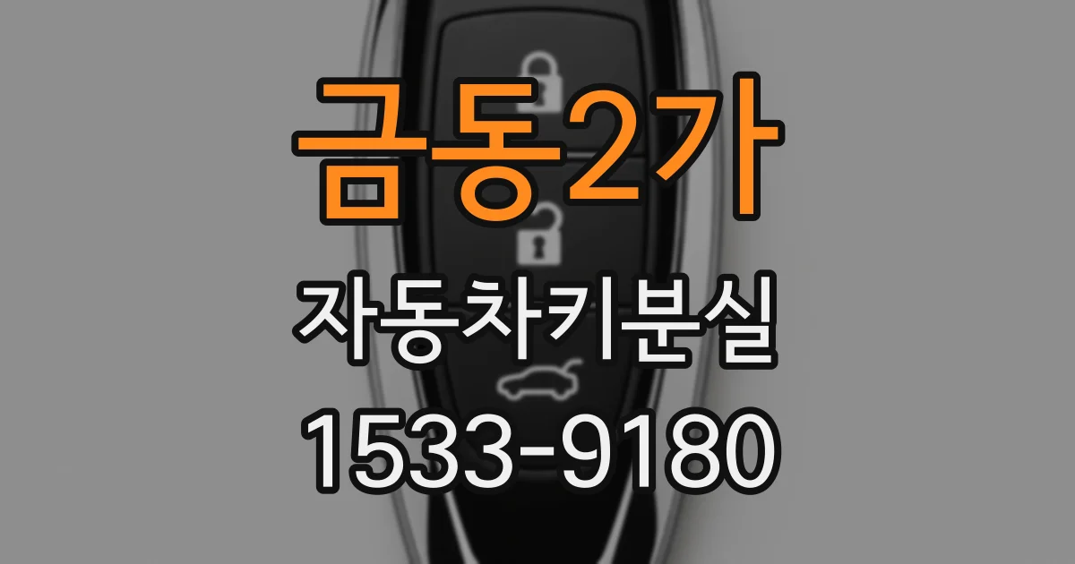 금동2가 자동차키분실