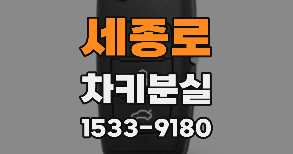 세종로 차키분실