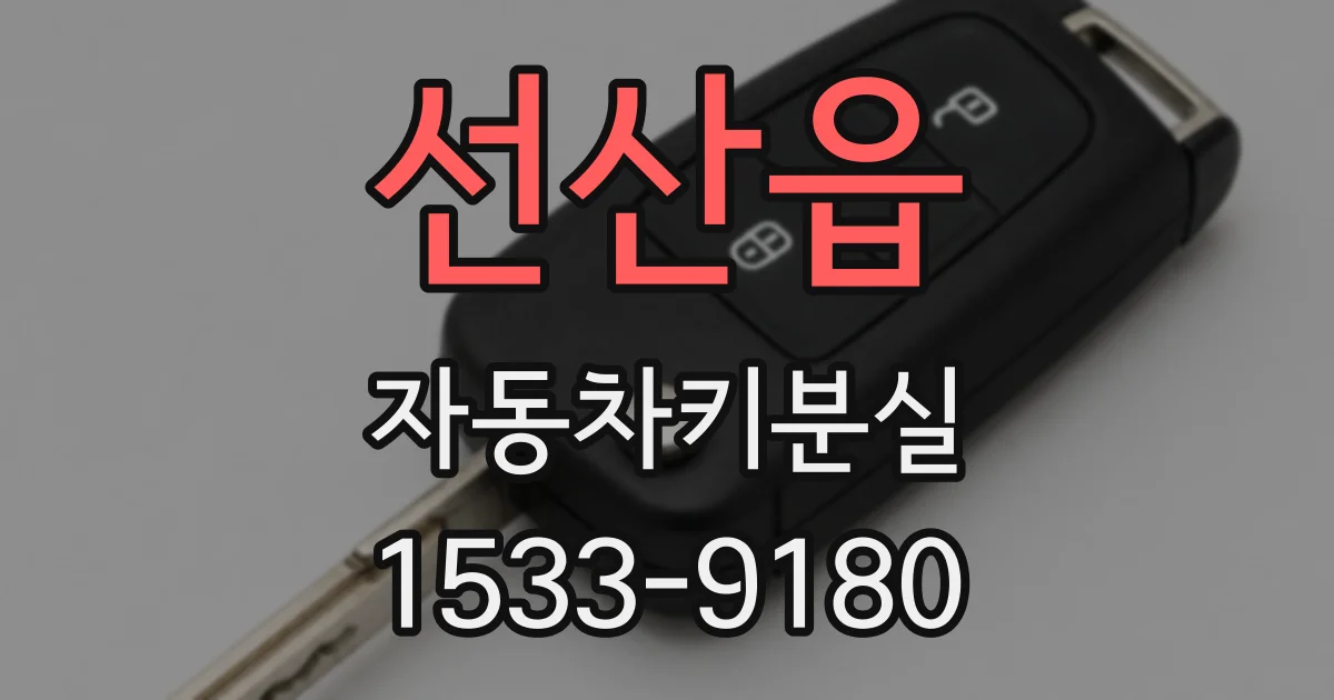 선산읍 자동차키분실