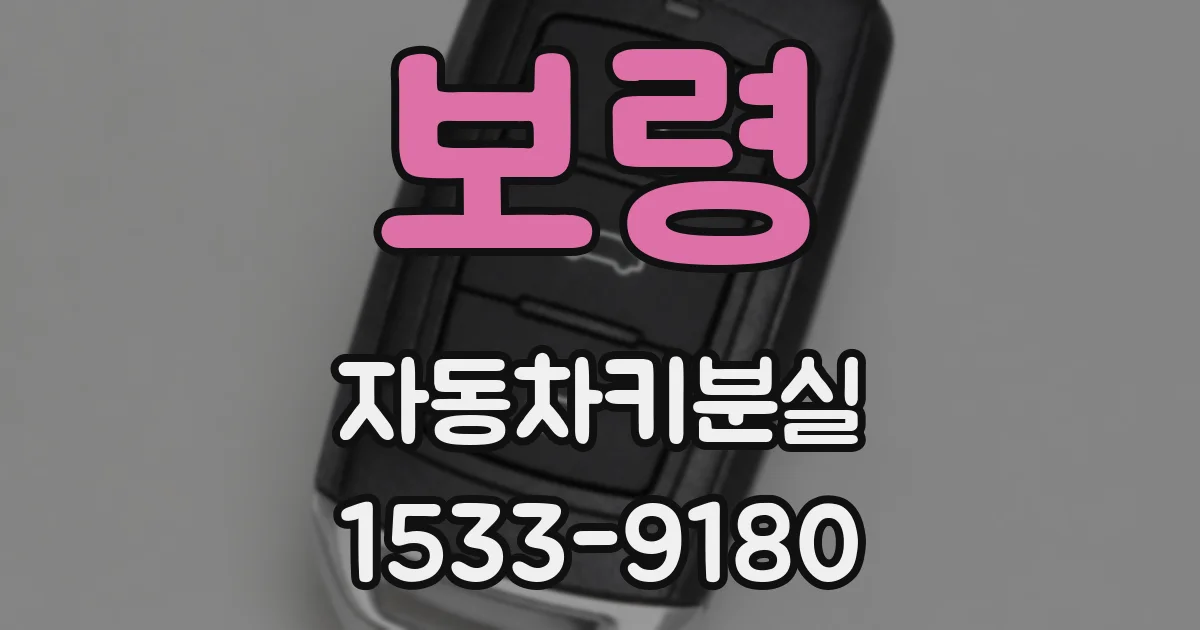 보령 자동차키분실