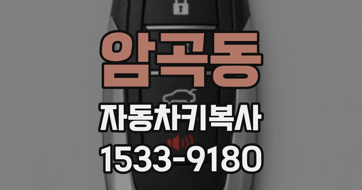 암곡동 자동차키복사