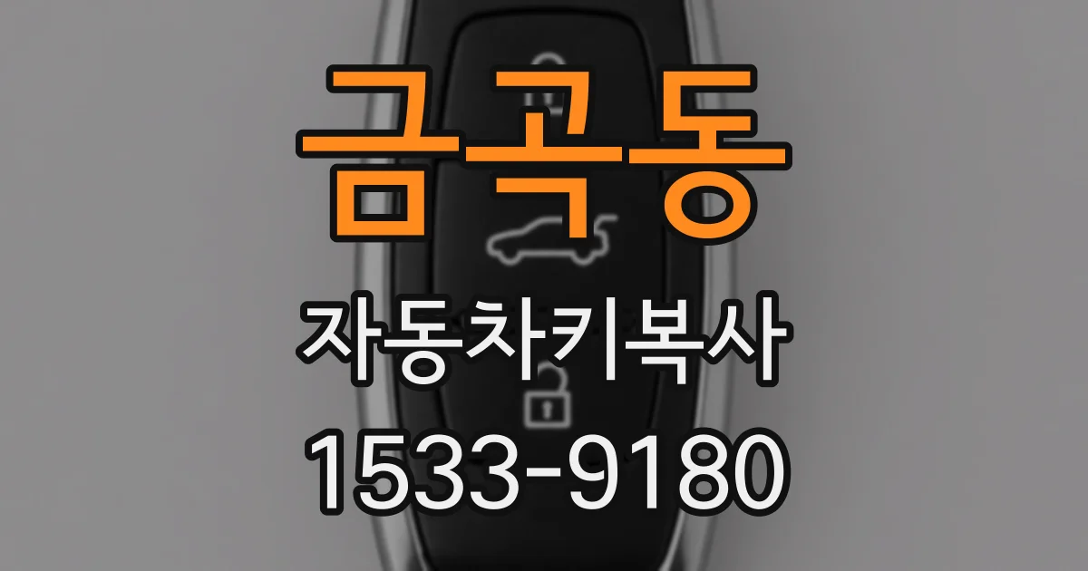 금곡동 자동차키복사