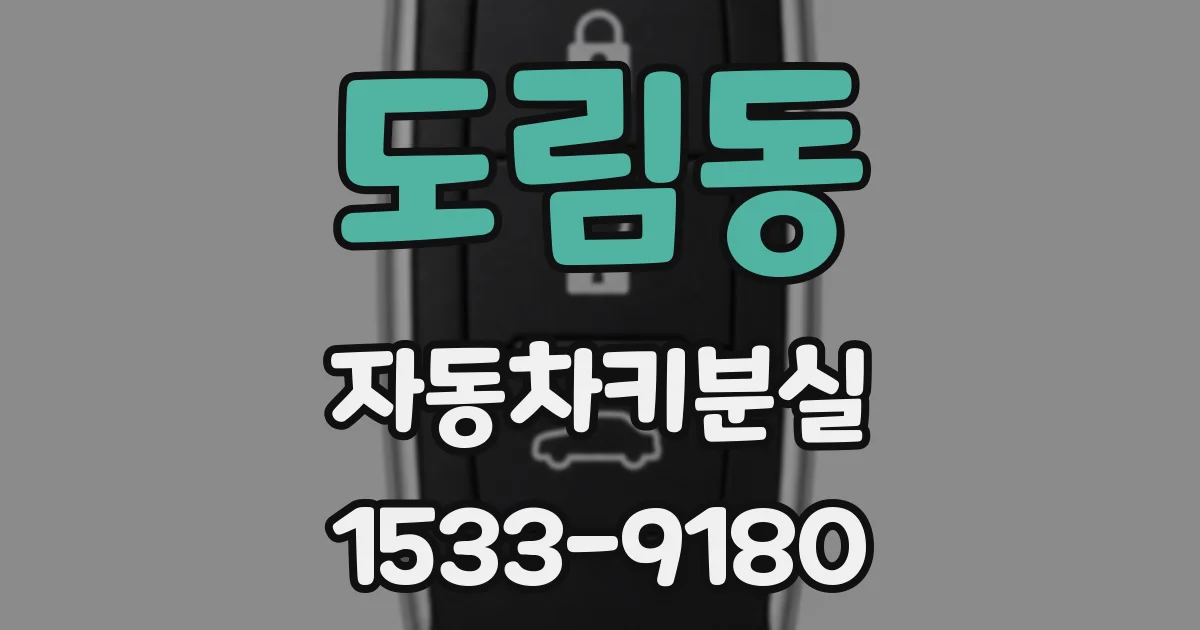 도림동 자동차키분실