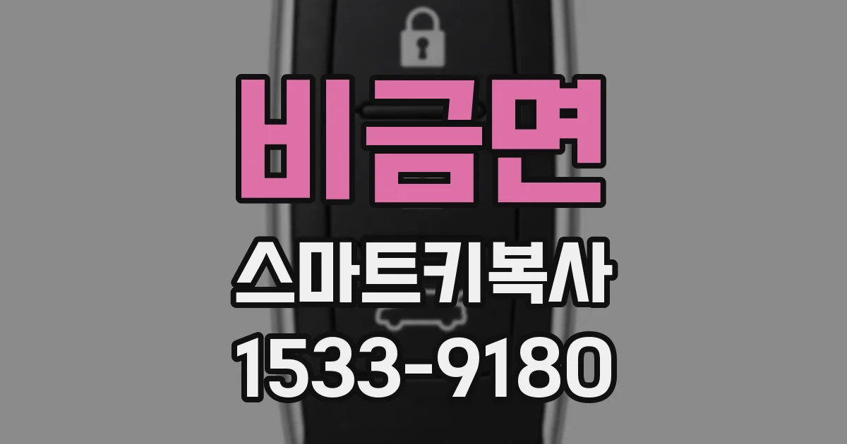 비금면 스마트키복사