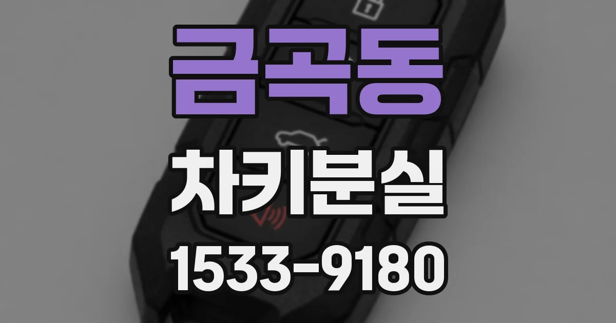 금곡동 차키분실