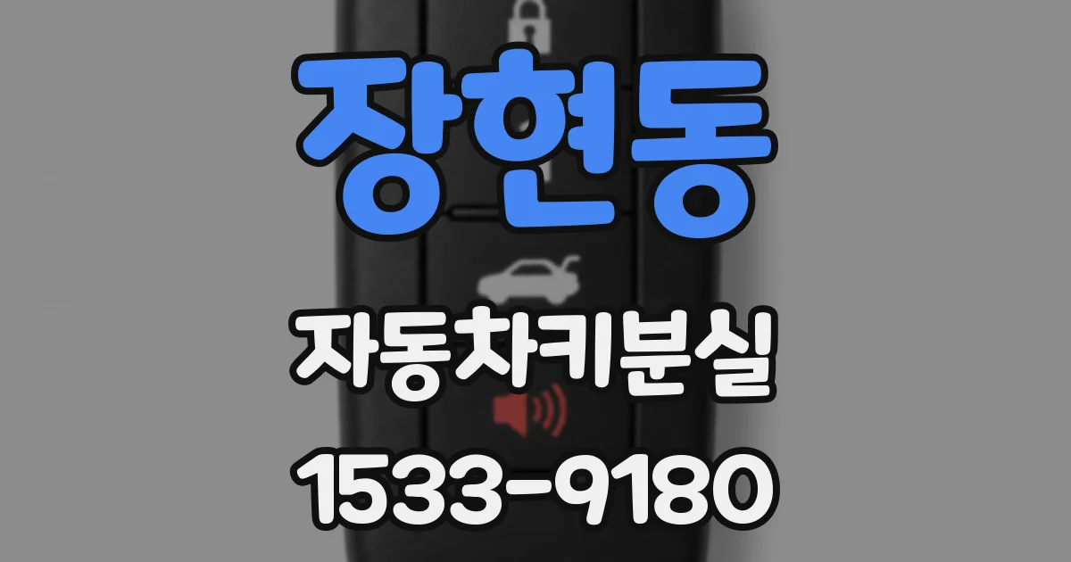 장현동 자동차키분실
