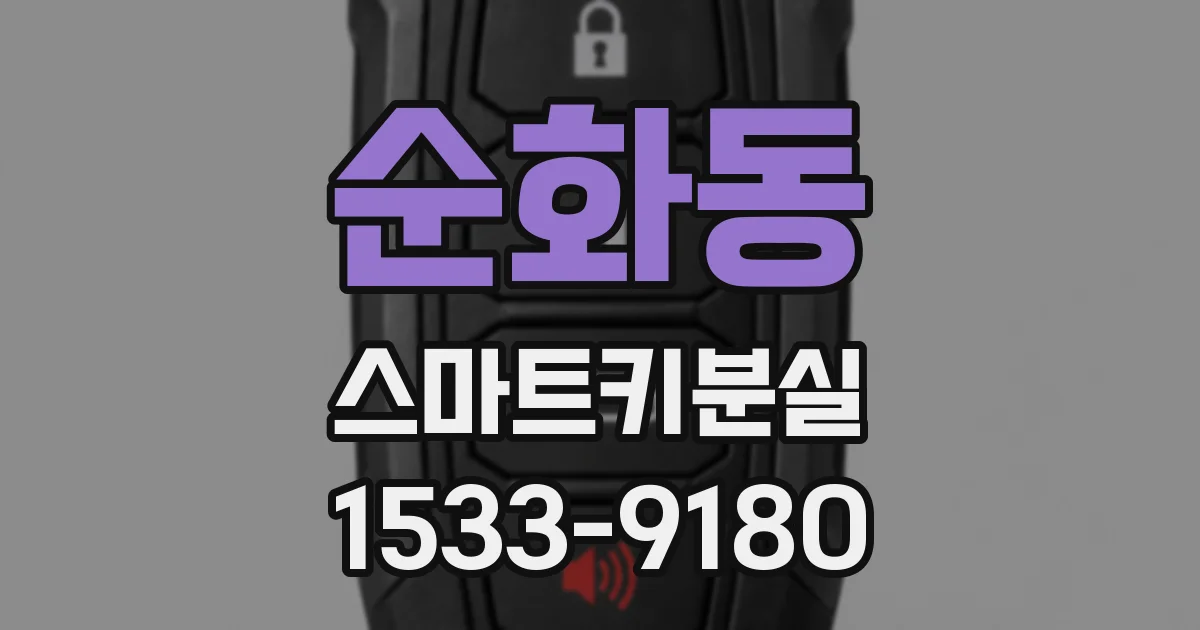 순화동 스마트키분실